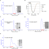 Figure 1—figure supplement 1.