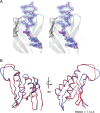 Figure 2—figure supplement 1.