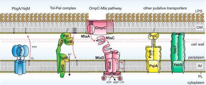 Figure 4.