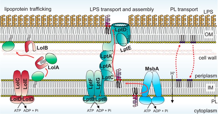 Figure 3.