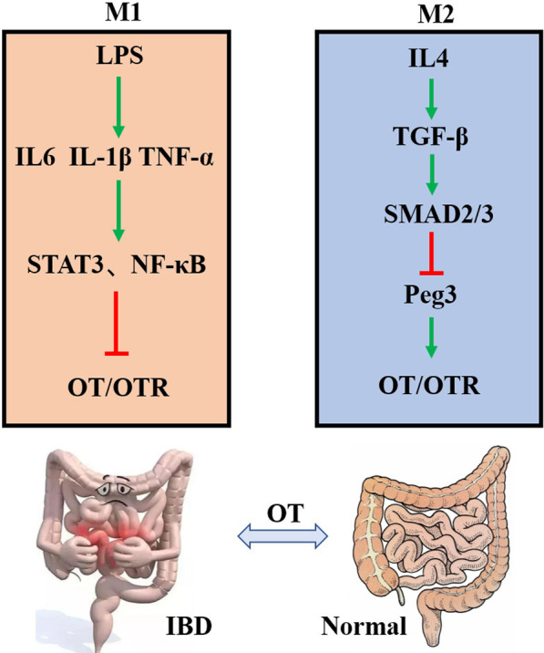 Fig. 11