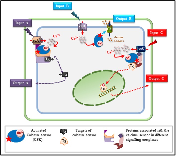 FIGURE 1