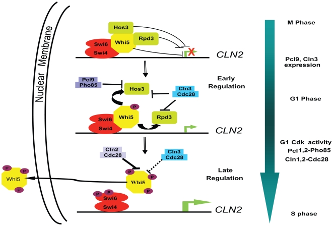 Figure 12