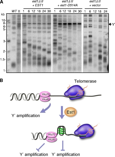 FIG. 7.