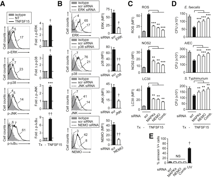 Figure 6