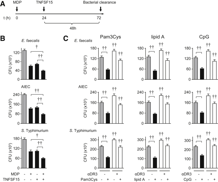 Figure 12