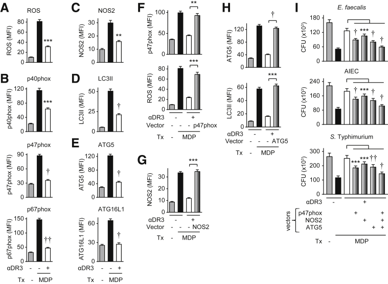 Figure 10