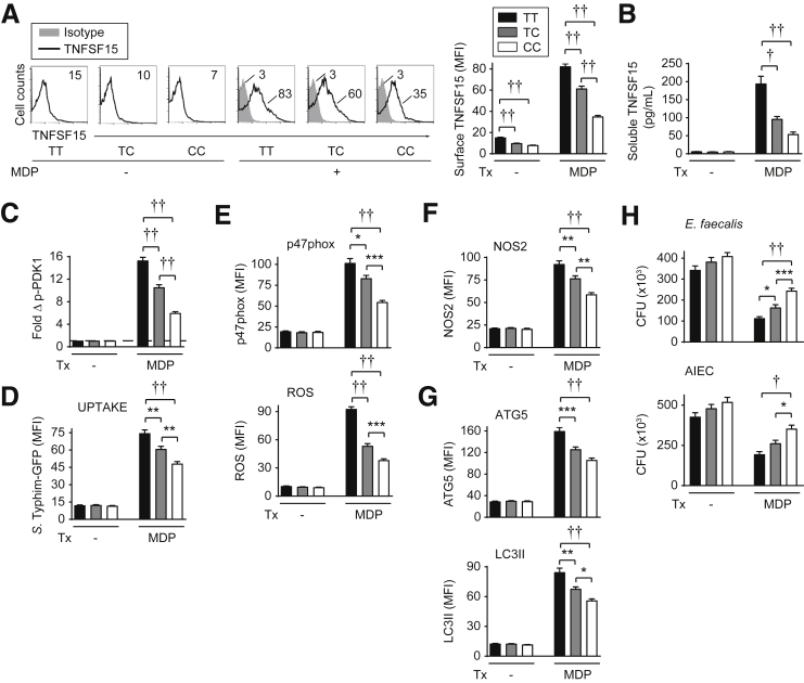 Figure 14