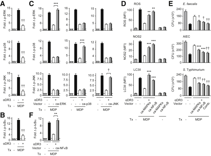 Figure 11