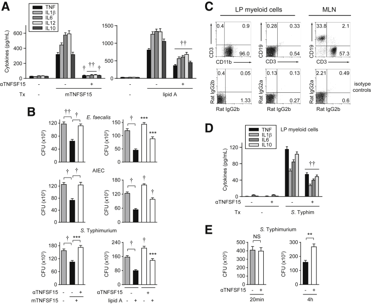 Figure 13