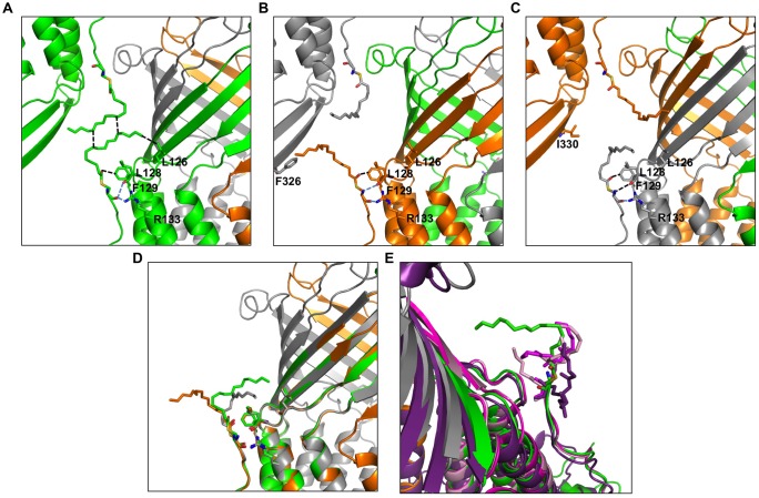 FIGURE 4