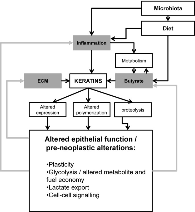 Figure 6