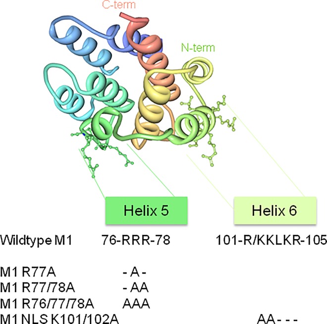 Fig 1