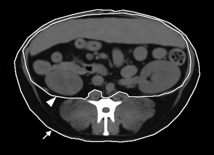 Fig. 2.