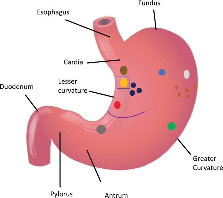 Figure 4a: