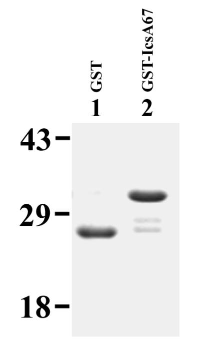 FIG. 10