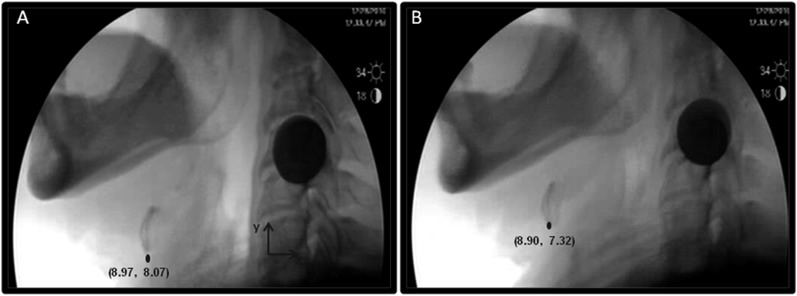 Figure 2.