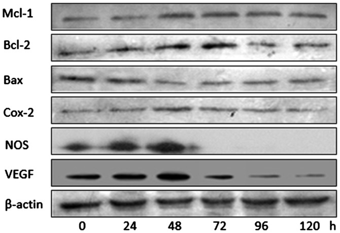 Figure 4.