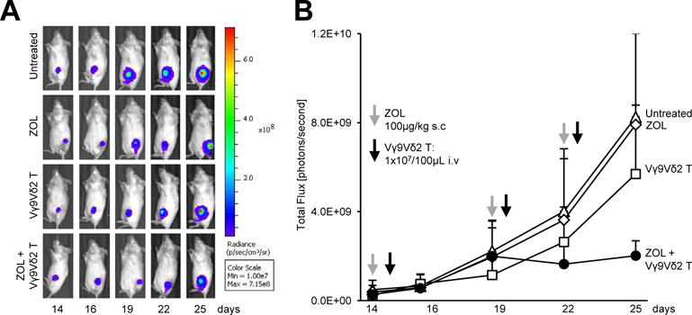 Fig. 4