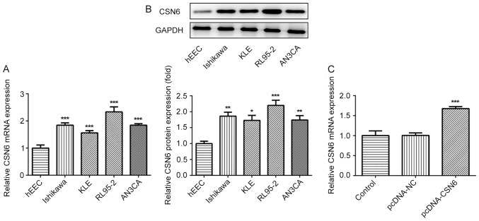 Figure 5.