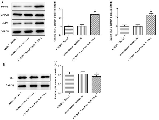 Figure 7.