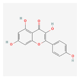 graphic file with name pharmaceuticals-16-01160-i019.jpg