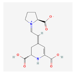 graphic file with name pharmaceuticals-16-01160-i010.jpg