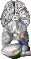 Fig. 1.