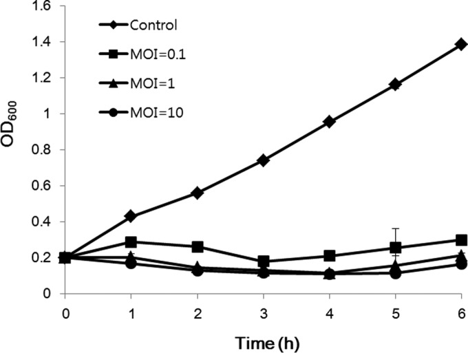 FIG 1