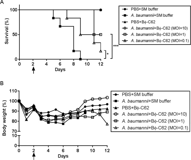 FIG 3