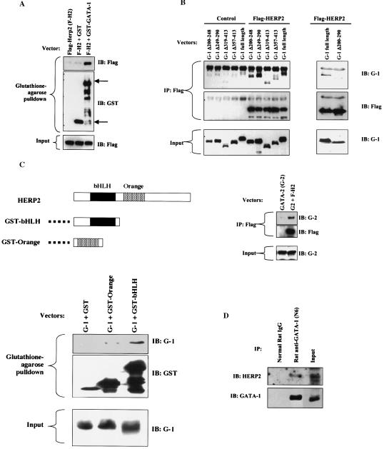 FIG. 7.