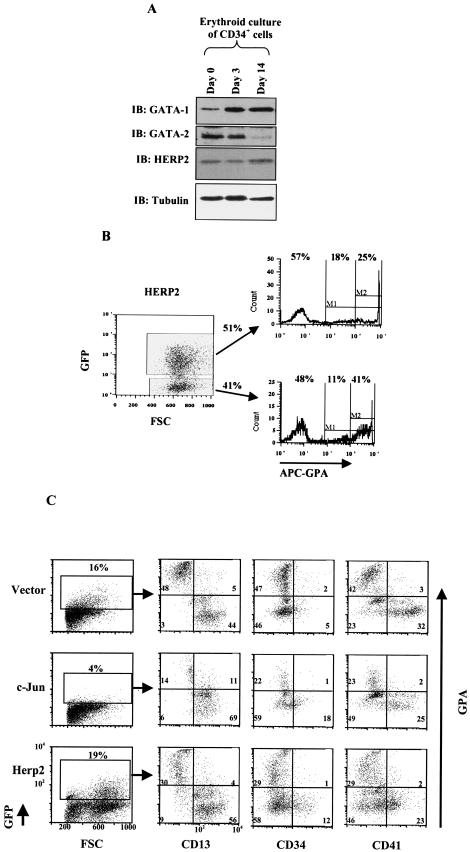 FIG.9.