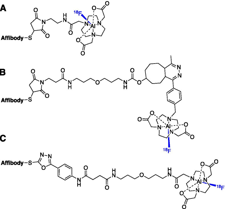 Fig. 8