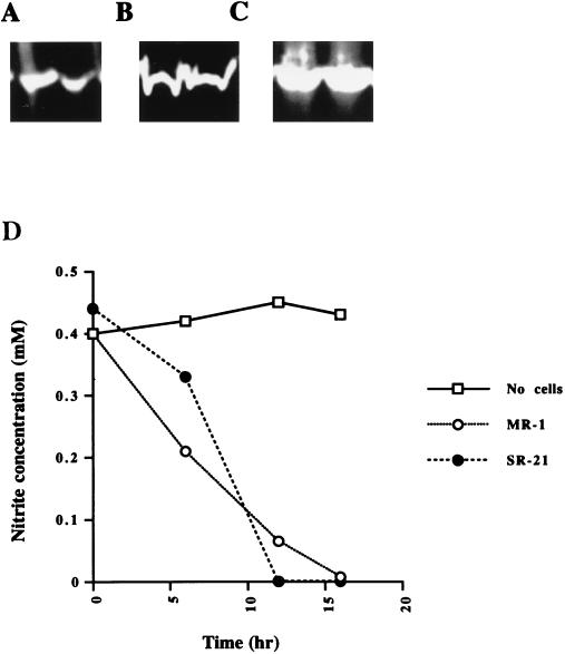 FIG. 3