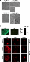 FIGURE 3.