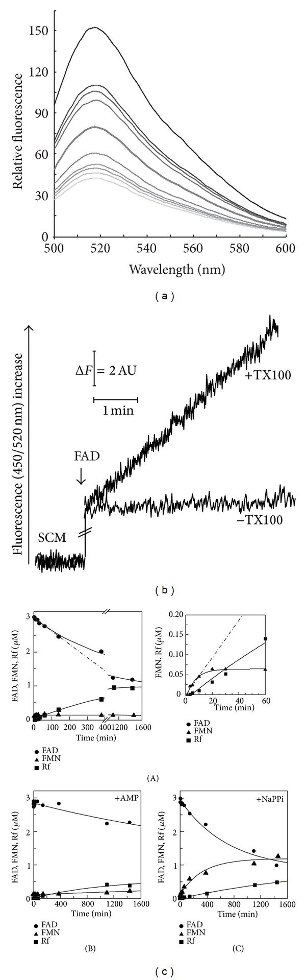 Figure 5