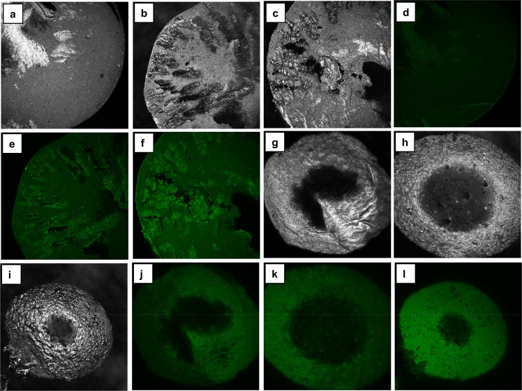 Figure 17