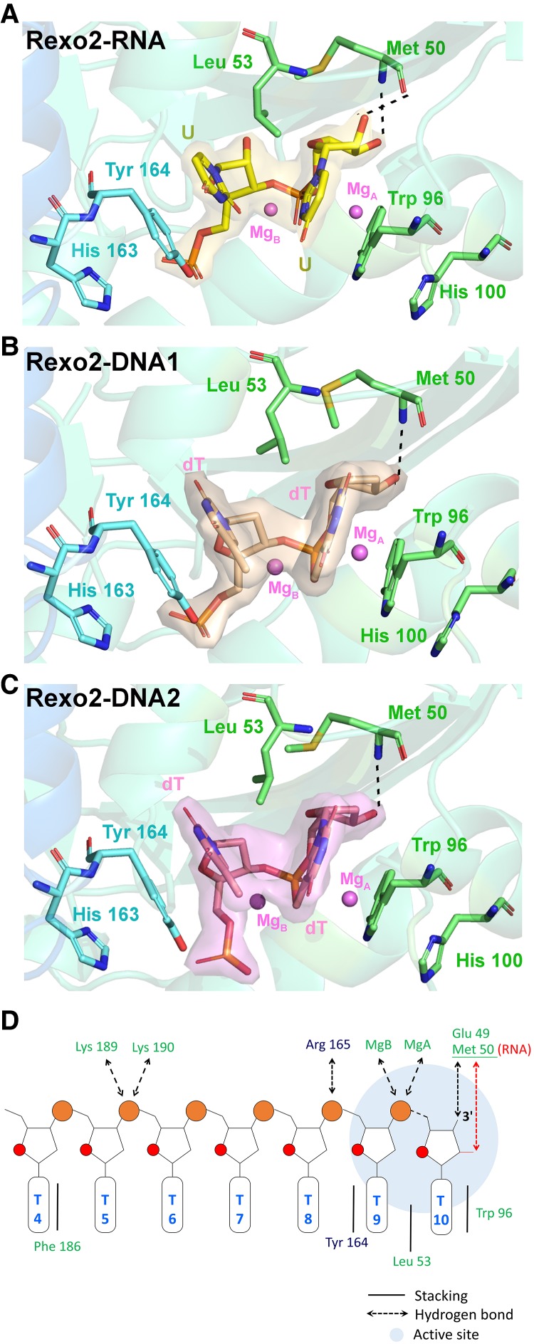 FIGURE 3.