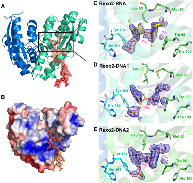 FIGURE 2.