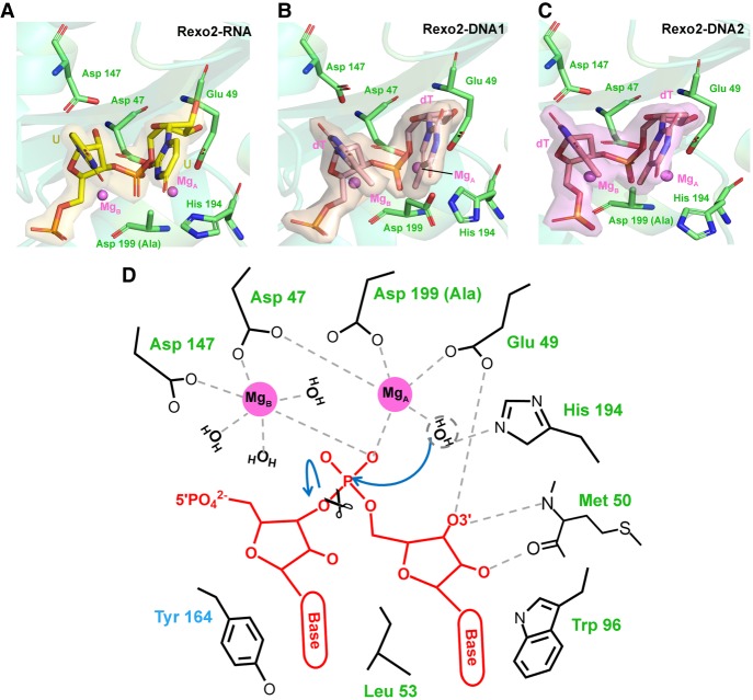 FIGURE 4.