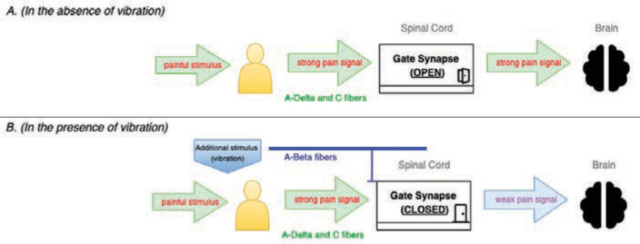 FIGURE 1.