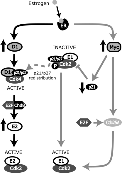 FIG. 10.