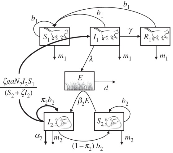 Figure 1.