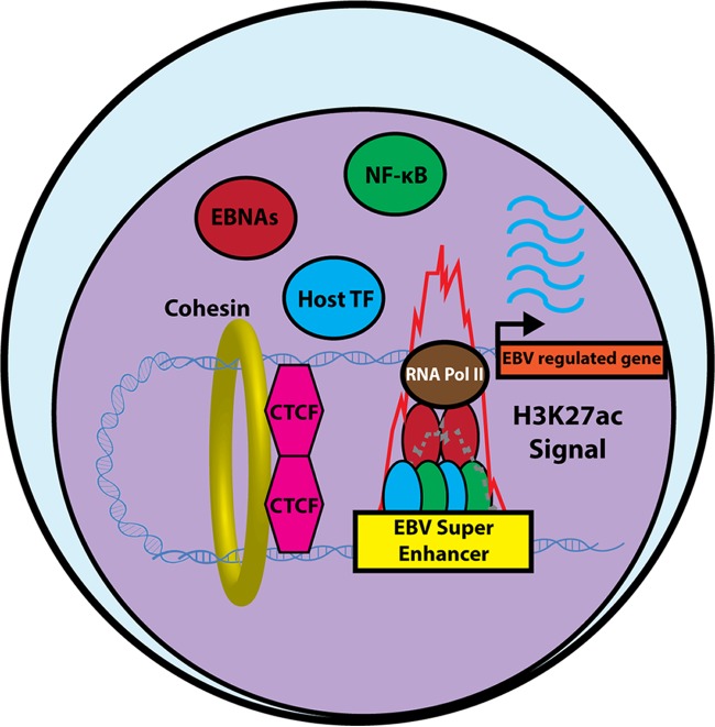 FIG 2