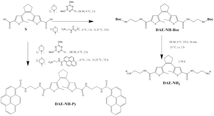 Scheme 2