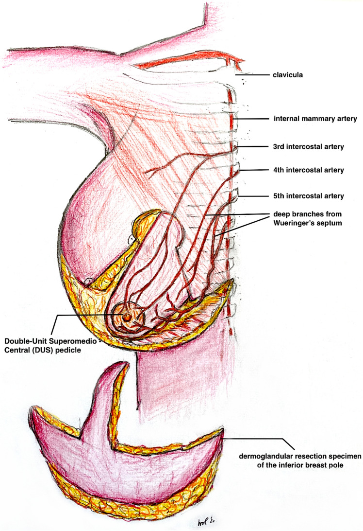 Fig. 5