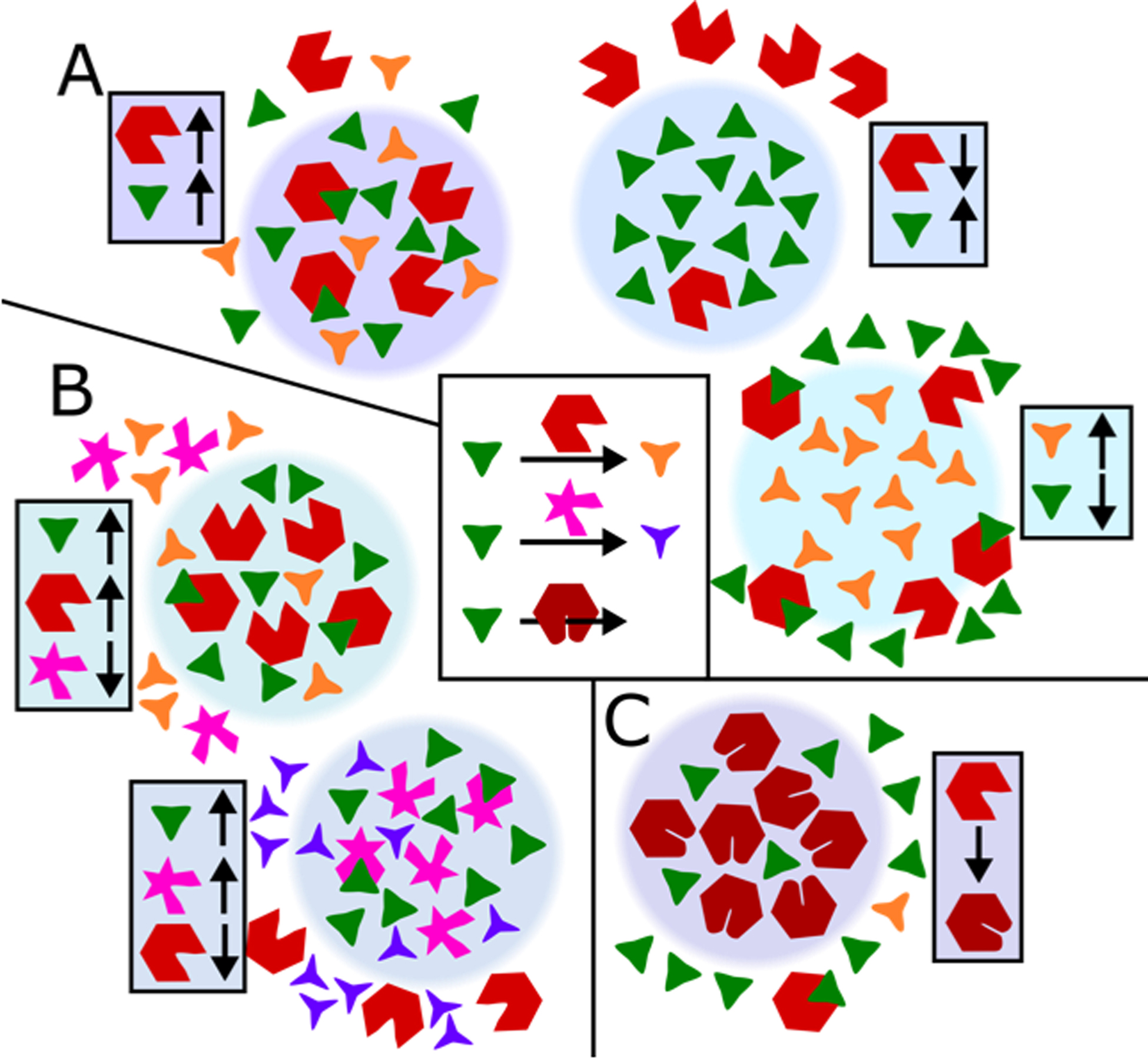 Figure 3 –