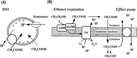 FIG. 8.