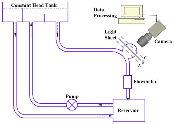 Fig. 2