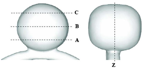 Fig. 1